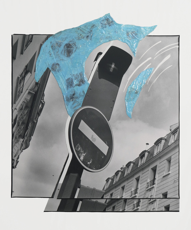 «Parcours» Sky is for Birds, Not for Drones